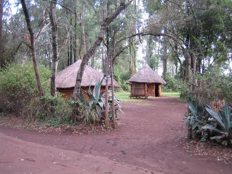 Файл:BomasLuoVillage.JPG