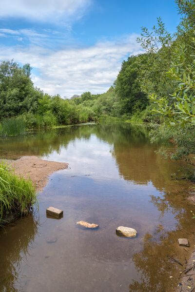 Файл:Songa flows into It river.jpg