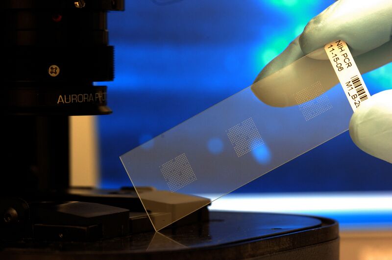 Файл:Biochip.jpg