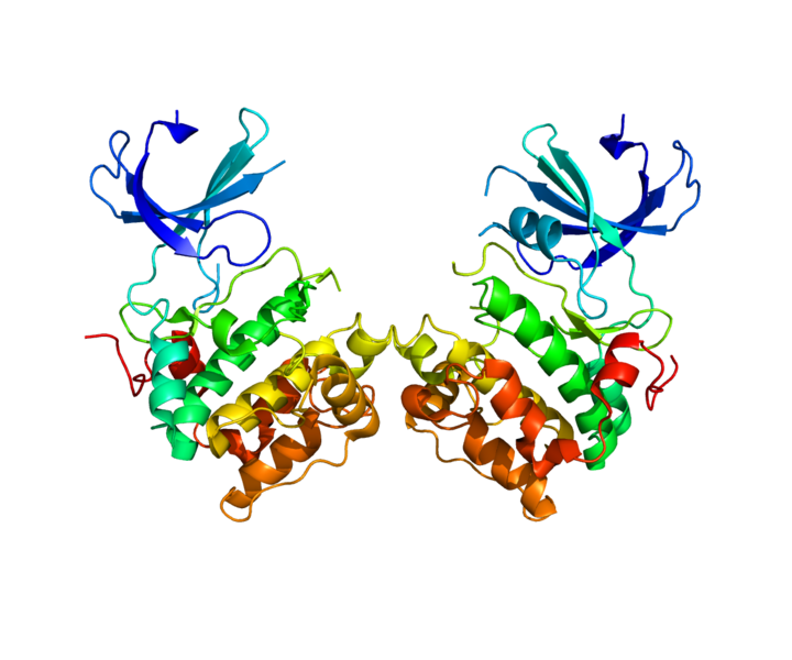 Файл:Protein RPS6KB1 PDB 3A60.png