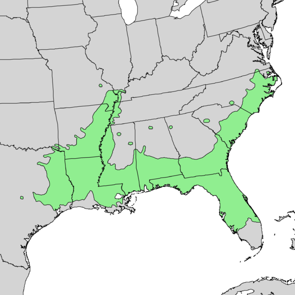 Файл:Carya aquatica range map 1.png