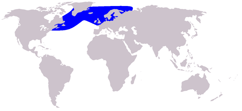 Файл:Cetacea range map White-beaked Dolphin.PNG