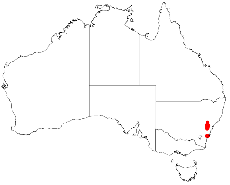 Файл:Hakea pachyphyllaDistMap102.png