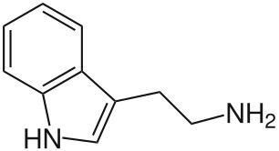 Файл:Tryptamine.svg