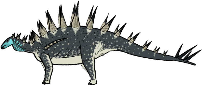 Файл:Tuojiangosaurus multispinus.png