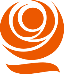Файл:CSSD Teillogo.svg
