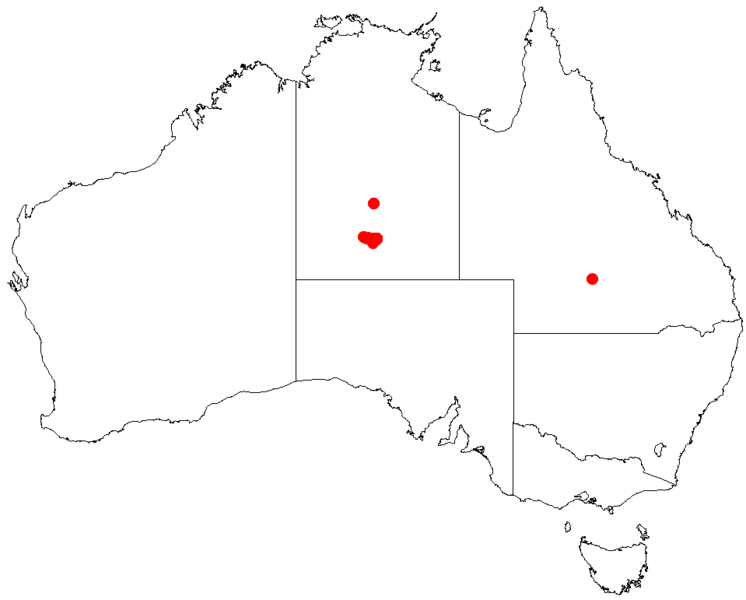 Файл:Hakea standleyensisDistMap129.png