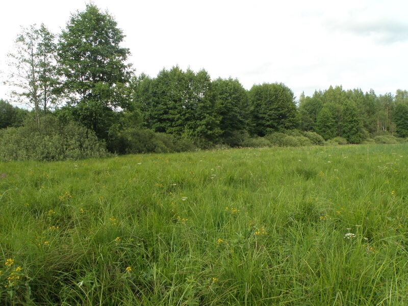 Файл:Knula valley.JPG