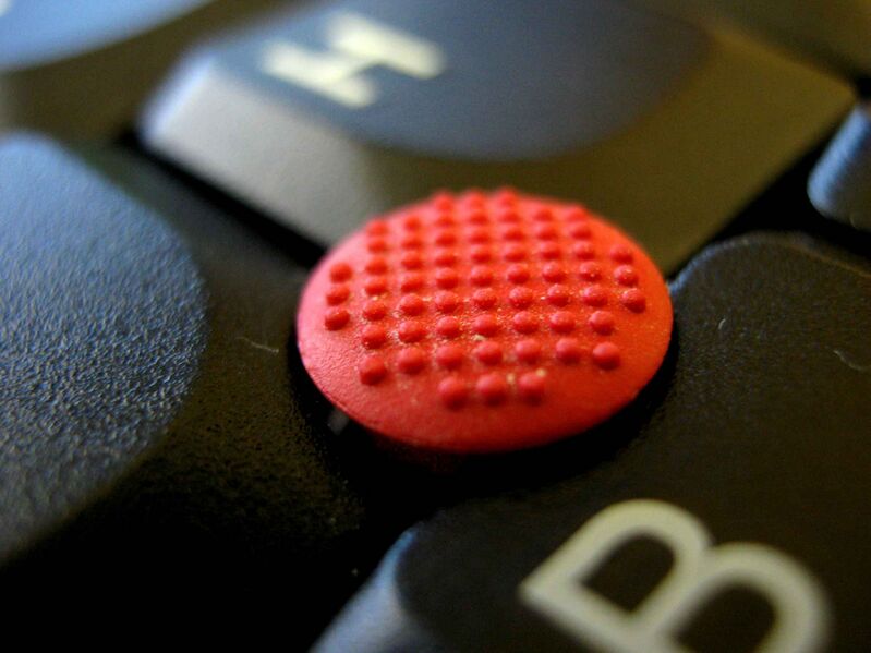 Файл:Mouse pointing stick.jpeg