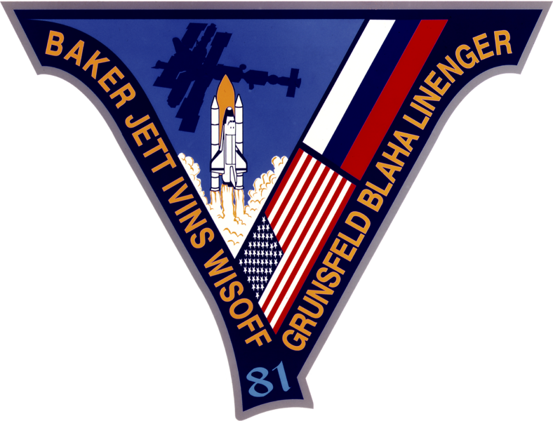 Файл:Sts-81-patch.png