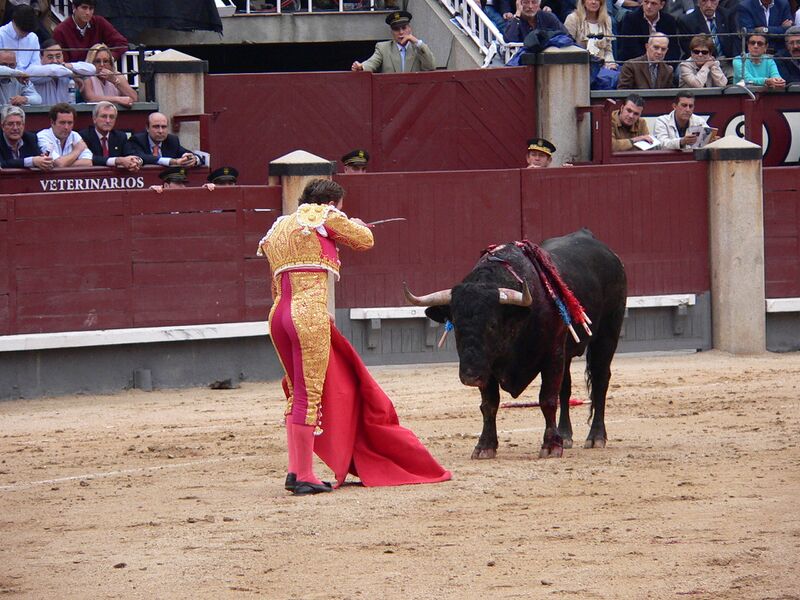 Файл:Matador.JPG
