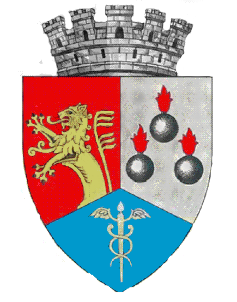 Файл:ROU DJ Calafat CoA.png