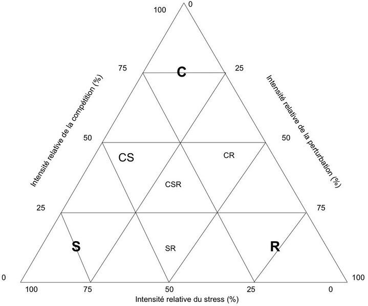 Файл:Triangle CSR.jpg