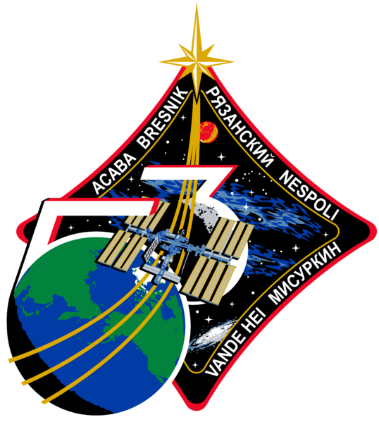 Файл:ISS Expedition 53 Patch.png