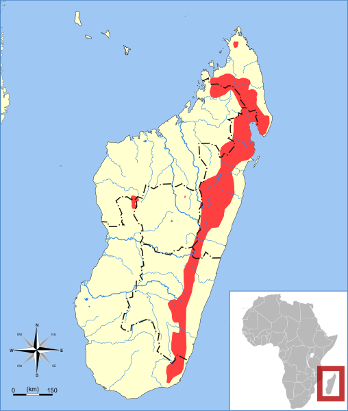 Файл:Microgale cowani range map.svg