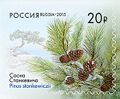 Миниатюра для версии от 10:24, 10 августа 2024