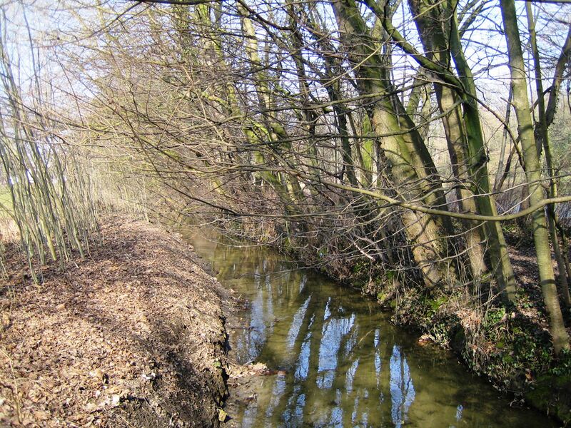 Файл:Riviere Woluwe 2006-03-18.jpeg