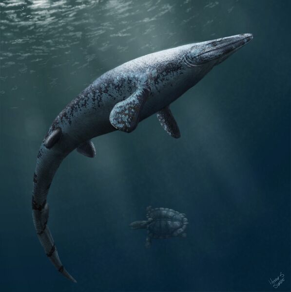 Файл:Angolasaurus artwork.jpg