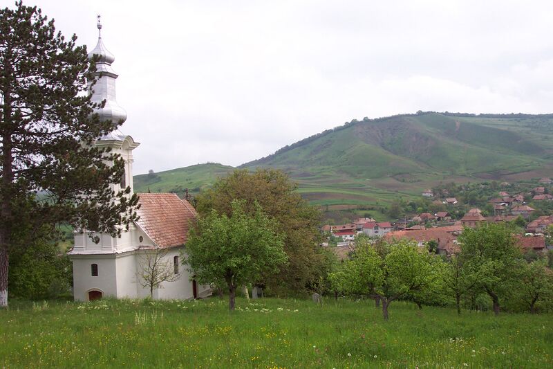 Файл:Biserica Reformata Visea.jpeg