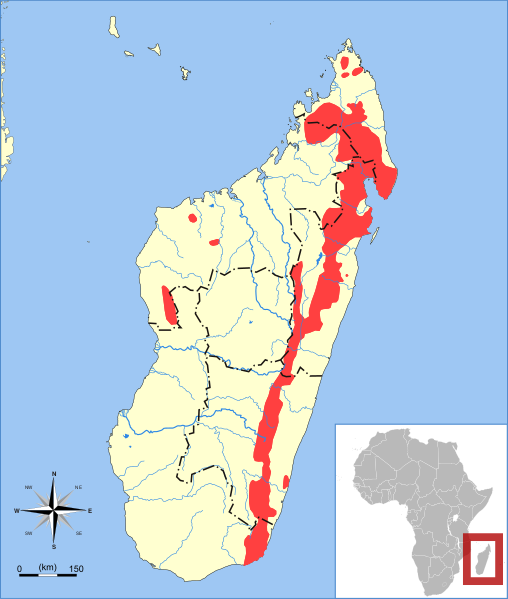 Файл:Galidia elegans range map.svg