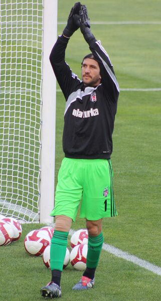 Файл:Rustu Recber 2010.jpg