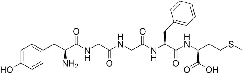 Файл:Met-enkephalin.png