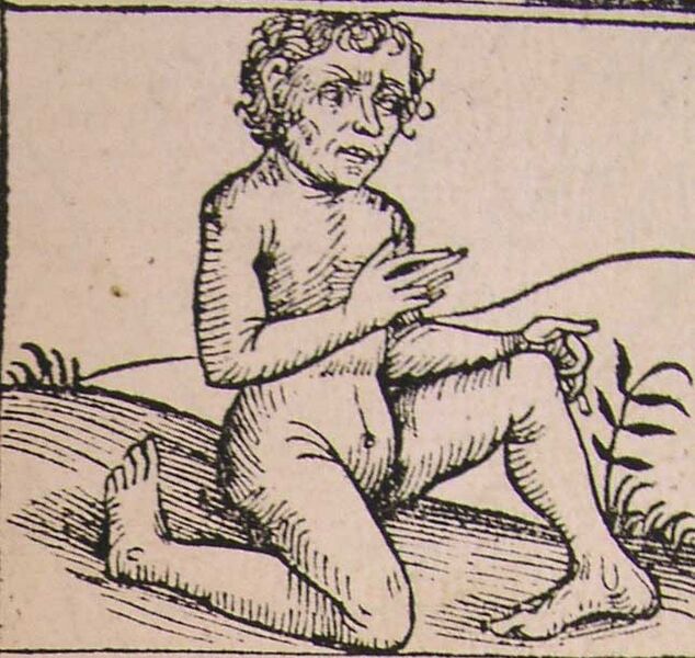 Файл:Schedel'sche Weltchronik-Reverse feet.jpg