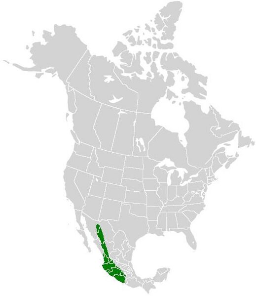 Файл:Parides alopius range map.JPG