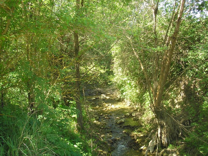 Файл:Suatkan 2.JPG