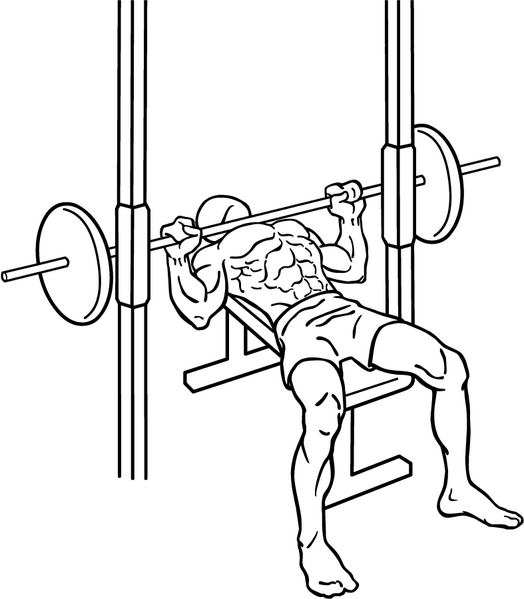 Файл:Bench-press-3-2.png