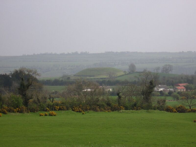 Файл:View of Dowth.jpg