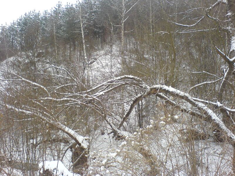 Файл:Winter storm6.JPG