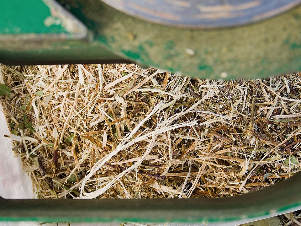 Файл:Wood Chippings.jpg