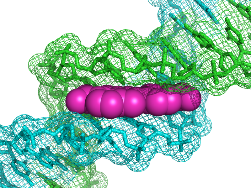 Файл:1D30 DNA DAPI.png