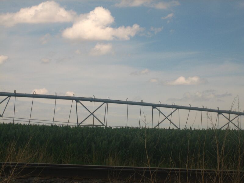 Файл:Irrigation IMG 0423.JPG