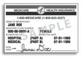 Миниатюра для версии от 01:19, 4 ноября 2023