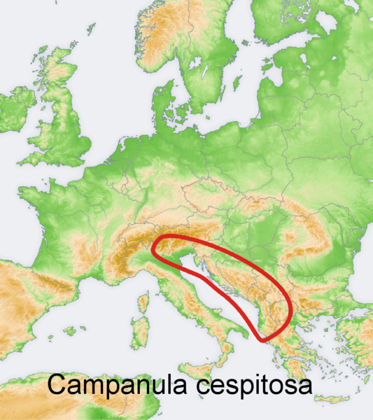 Файл:Distribution map Campanula cespitosa.png