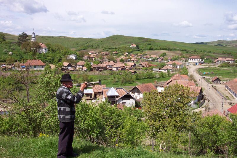 Файл:Goarna Visea.jpeg