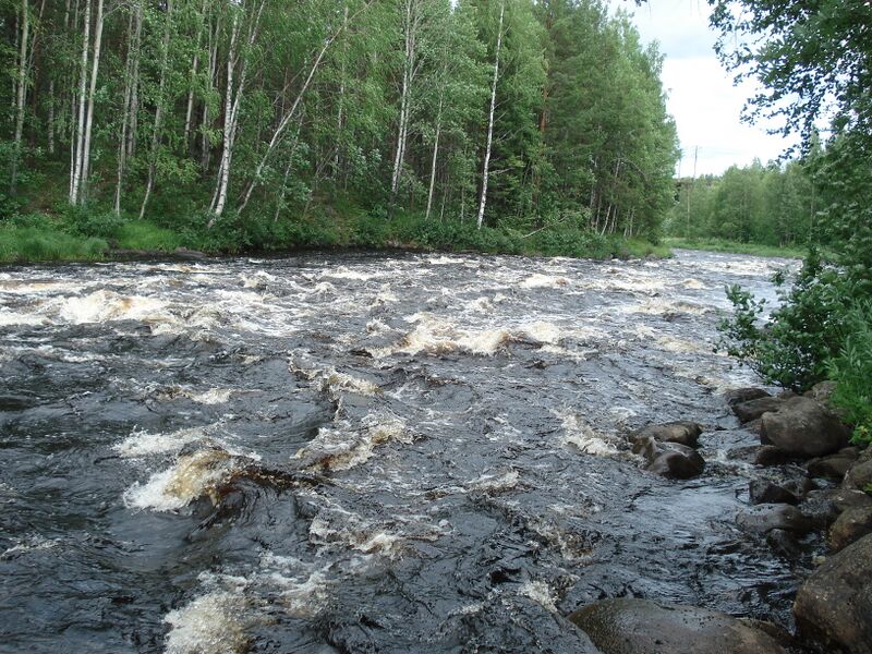 Файл:Vonga assu1.JPG