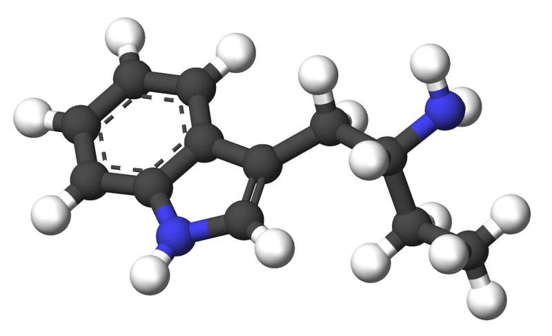Файл:Alpha-Ethyltryptamine-3d-sticks.png