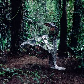 Обложка альбома Cansei de Ser Sexy «Donkey» (2008)