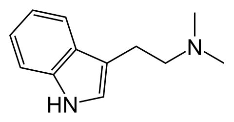 Файл:Dimethyltryptamine.svg