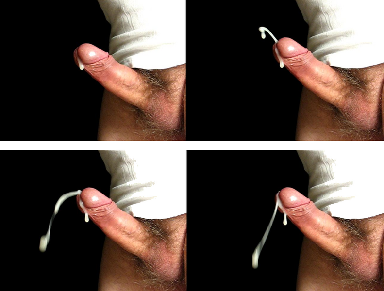 Файл:Ejaculation educational seq 4.png