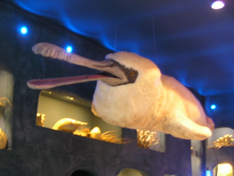 Файл:Futuroscope fou-baleine.JPG