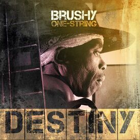 Обложка альбома Brushy One-String «Destiny» (2013)