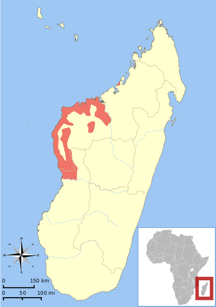 Файл:Eulemur rufus range map.svg