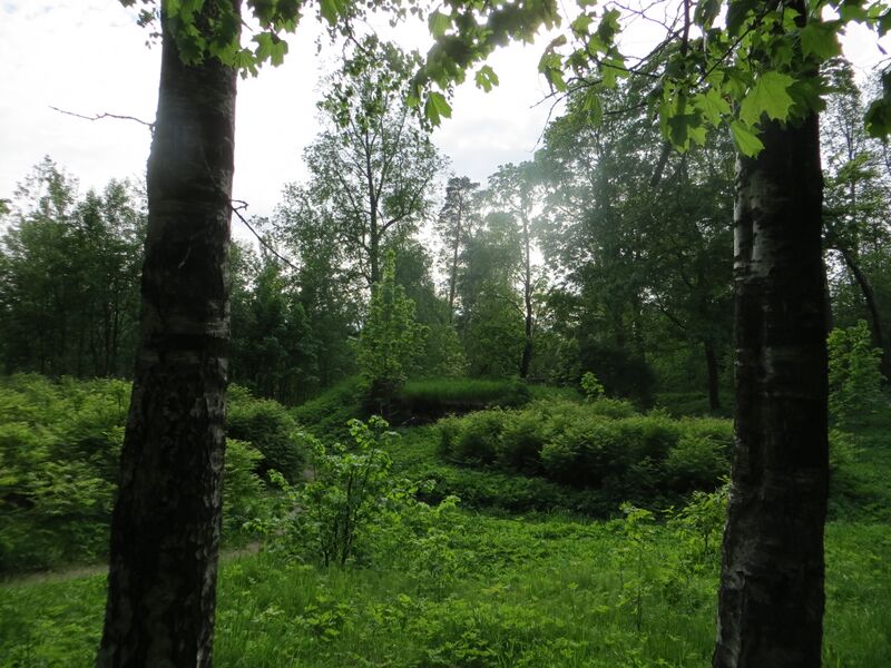 Файл:RumbolovskyPark5.jpg