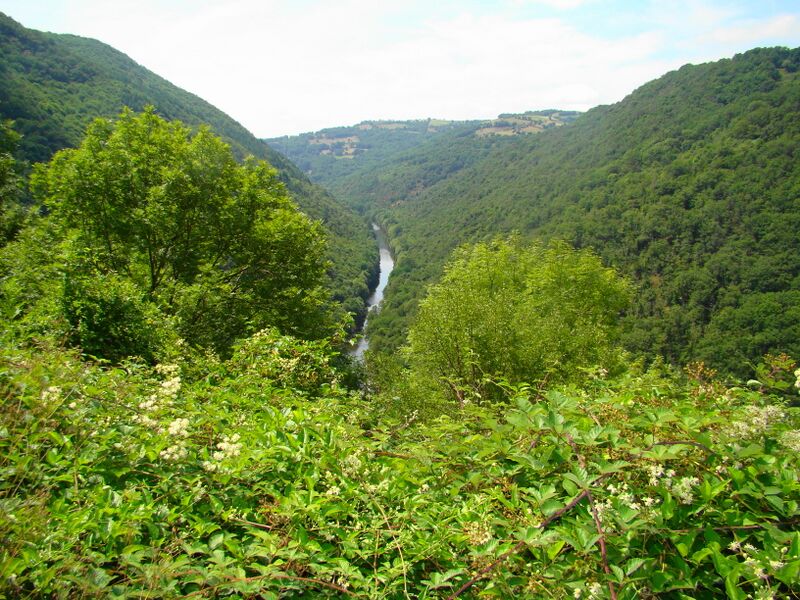 Файл:ViaurDSC00882.JPG