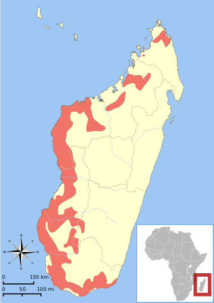 Файл:Cheirogaleus medius range map.svg
