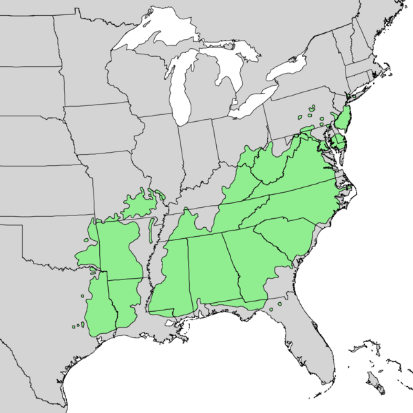 Файл:Pinus echinata range map.png
